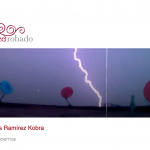 Videopoemas de Carlos Ramírez Kobra en El Rizo robado